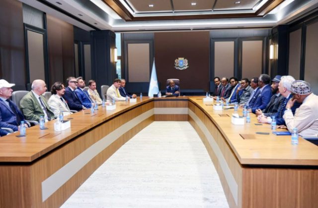 Somali president meets Italian business leaders, investors in Mogadishu