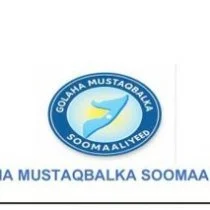 Somalia Opposition Alliance Unveils New Electoral Model Amid Election Dispute