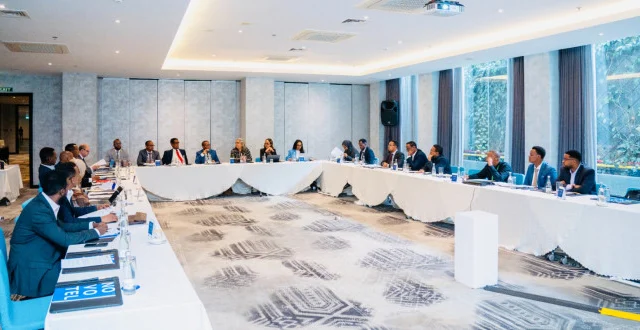 Somalia and IFC Launch First Technical Working Group on Submarine Cable Infrastructure
