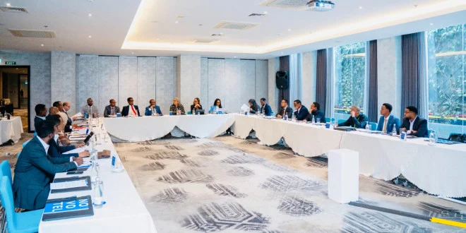 Somalia and IFC Launch First Technical Working Group on Submarine Cable Infrastructure