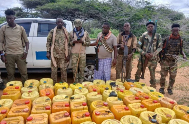 Somalia security forces intercept bomb-making chemicals, Hiiraan Online reports