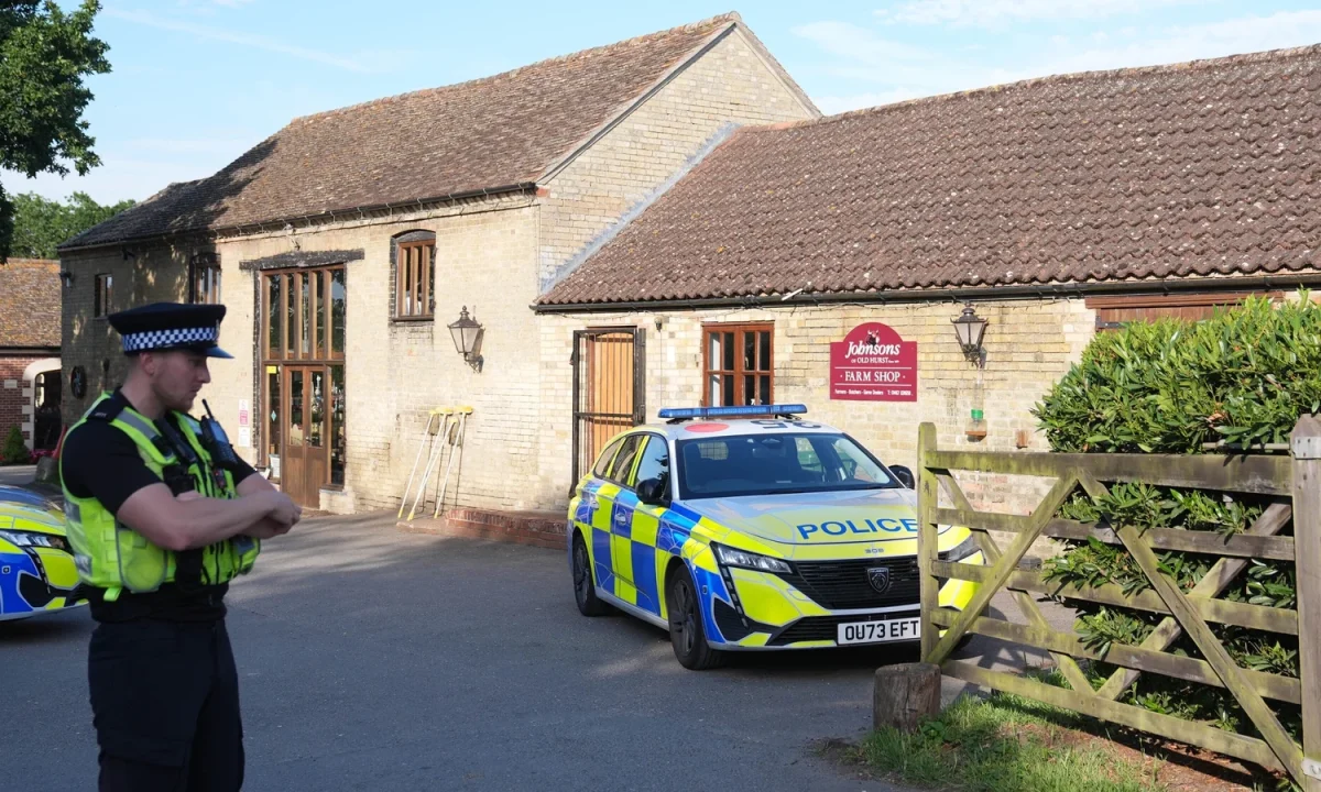 UK police arrest man after 3-year-old boy enters crocodile enclosure