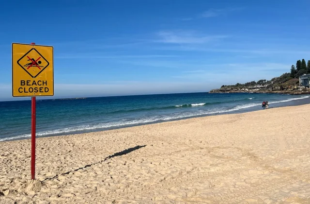 Woman seriously injured in shark attack at Sydney beach