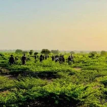Danab Commandos Begin Security Patrols Near Burhakaba Town