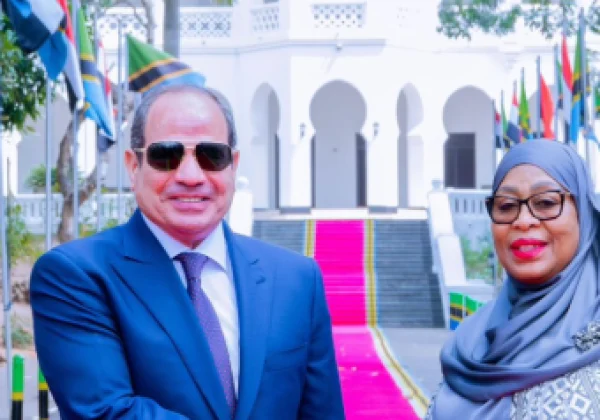 Egypt Eyes Tanzania Farm Projects, Logistics Hubs and Nile Cooperation