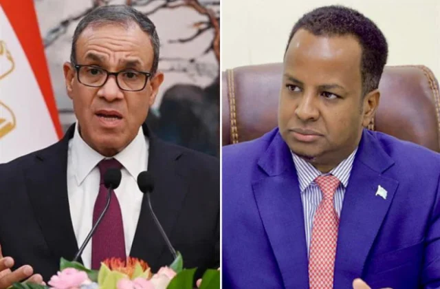 Egypt reaffirms full support for Somalia’s unity and sovereignty