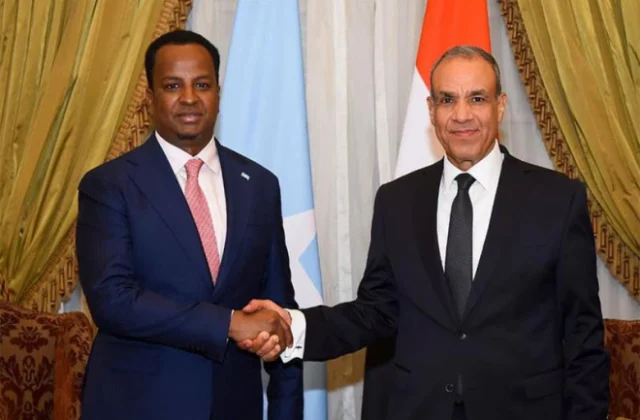 Egypt rejects North Western State of Somalia’s Jerusalem mission, seeks release of eight sailors