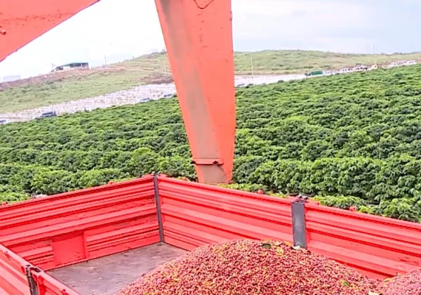 Ethiopia’s Export Windfall, Kenya’s Investment Surge Contrast Somalia’s Funding Crunch
