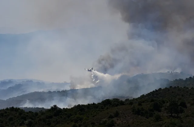 Infernos Devastate Forests as Temperatures Rise Across Europe