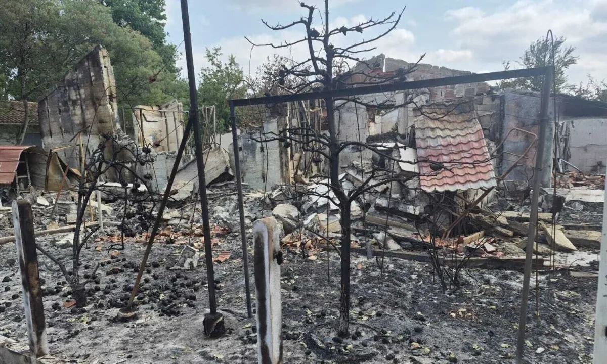 Inside the French Town Hit Hardest by Wildfires
