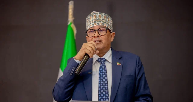 North Western State of Somalia president says he was not elected to serve Palestine after Jerusalem embassy opening