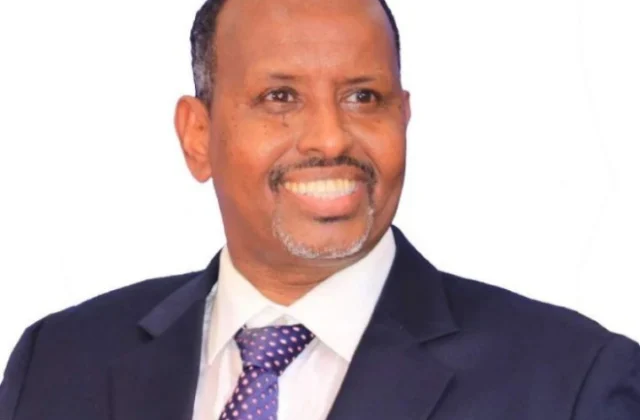 Somali Business Community Contests Cabinet Appointment to Chamber Leadership, Citing Legal Process