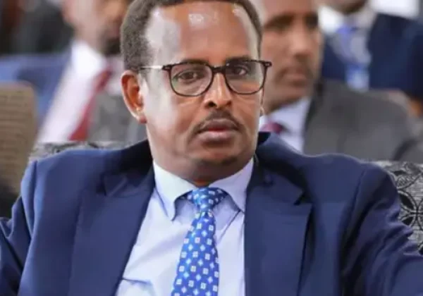 Somali State Minister Denied Entry to Kenya, Deported to Mogadishu