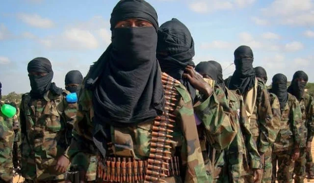 Somali intelligence agency targets al-Shabab mortar unit in Middle Shabelle