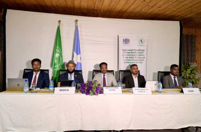 Somalia, IGAD discuss regional mobility roadmap and single visa plan