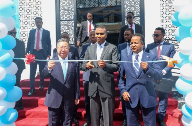 Somalia opens diaspora center in Mogadishu with Chinese government support