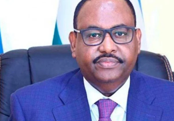 Somalia’s Puntland State: Foreign companies need its approval to operate