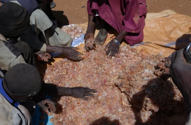 Sudan’s Resources Are Fueling a Growing War Economy