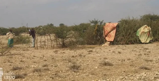 Vulnerable families in Mudug village left behind as drought worsens