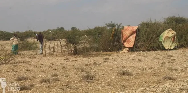 Vulnerable families in Mudug village left behind as drought worsens