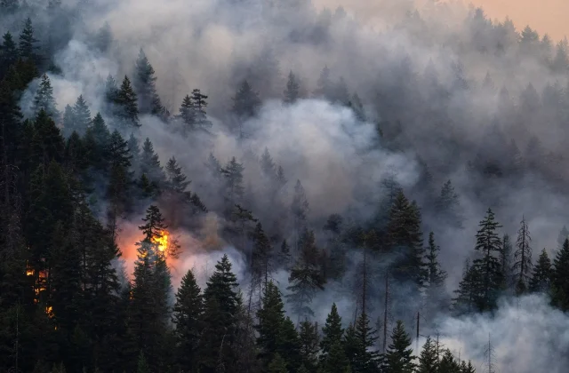 80-Year-Old Woman Dies in Western Canada as Wildfires Spread
