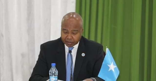AUSSOM Withdrawal Could Destabilize Somalia, Former Somali Foreign Minister Warns