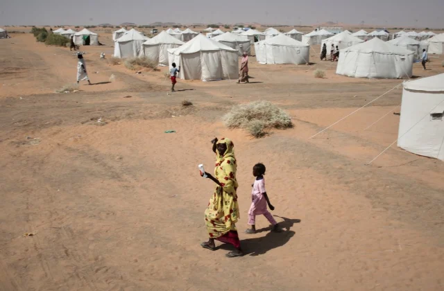 At Least 35 Killed in Sudanese Army Attack