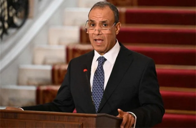 Egypt Working to Secure Release of Sailors Kidnapped Off Somalia, FM Abdelatty Says