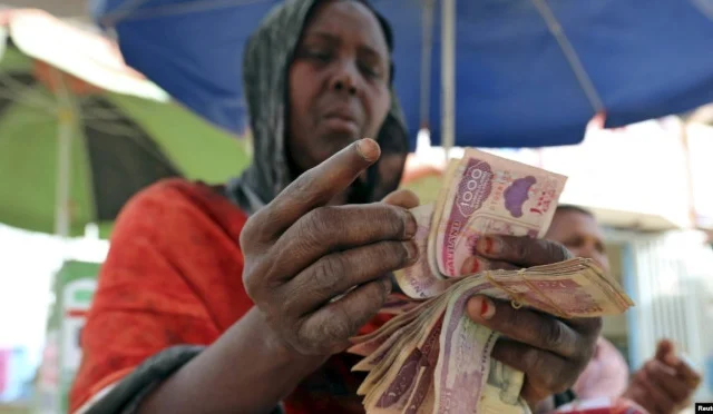 Ethiopia Names Several Unlicensed Somali-Linked Hawala and Remittance Operators