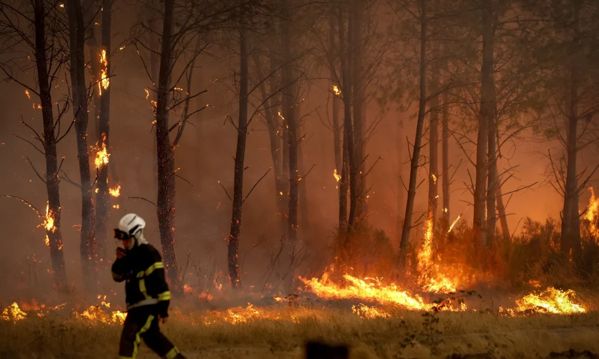 French Wildfires Mark a Record-Breaking Season for All the Wrong Reasons