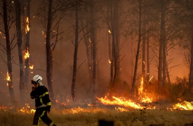 French Wildfires Mark a Record-Breaking Season for All the Wrong Reasons