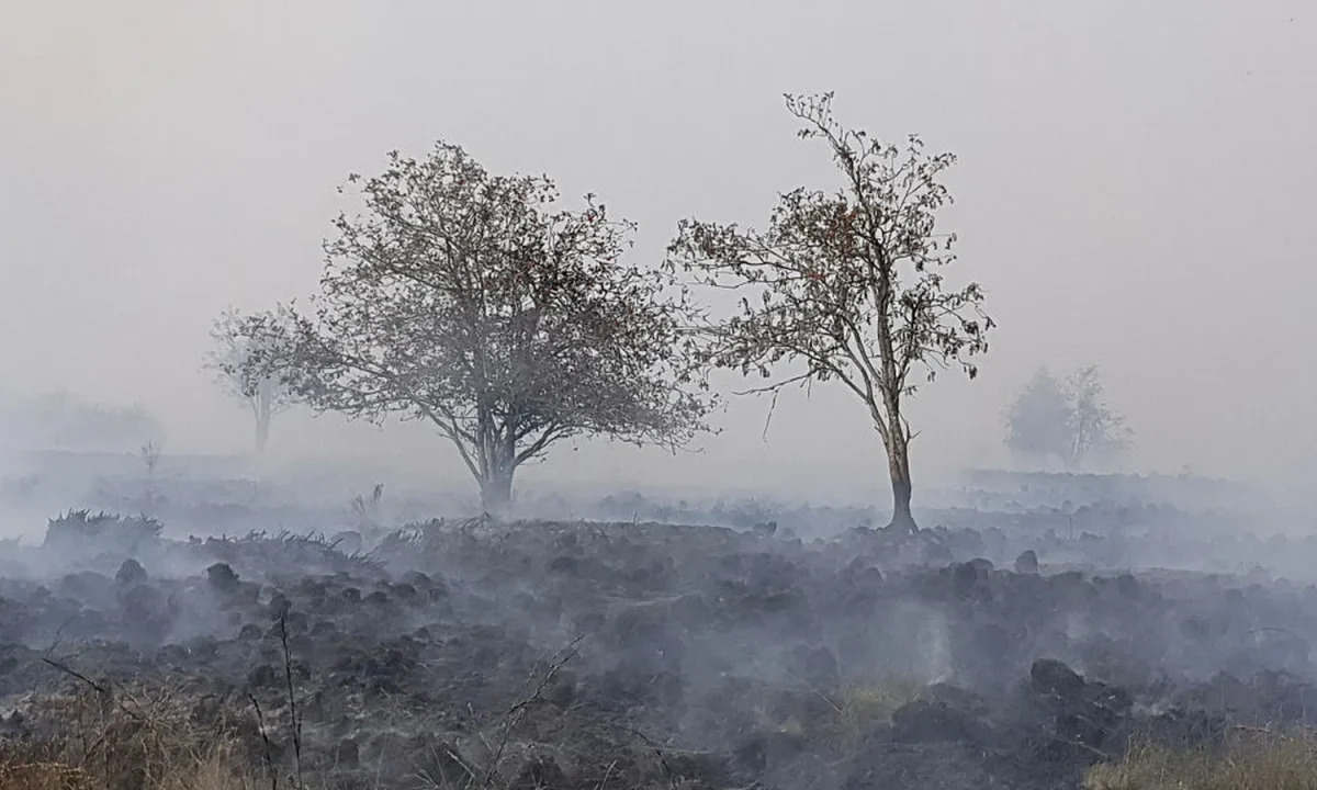 
        
        Hundreds evacuated as Belgium battles major pine forest wildfire
    
