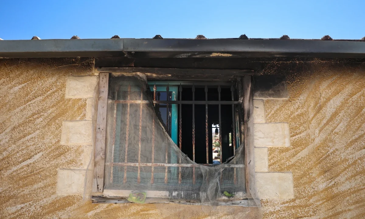 
        
        'Robust' reply to Israeli settlement plan needed, McEntee says
    