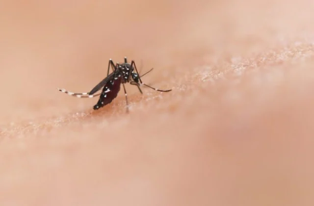 Ministry Intensifies Dengue Response in Garissa, Wajir as Cases Reach 1,678