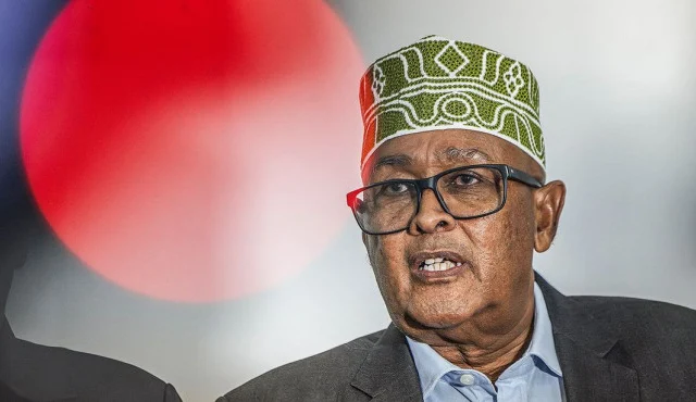 North Western State of Somalia President Proposes Berbera for Foreign Military Bases, Citing Djibouti Model