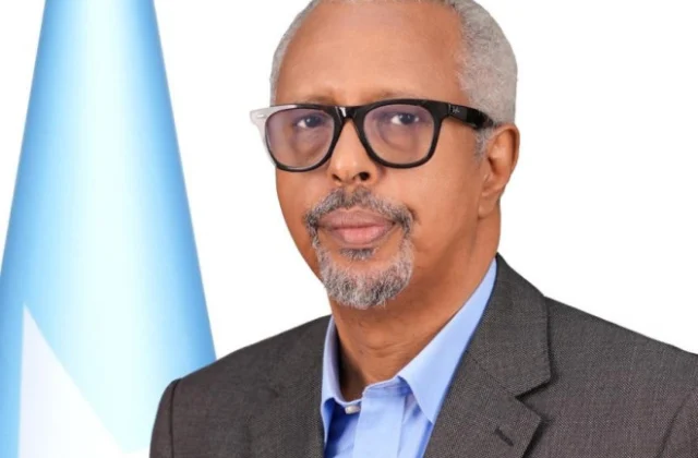 Osoble: Somalia cannot afford another term of failed leadership
