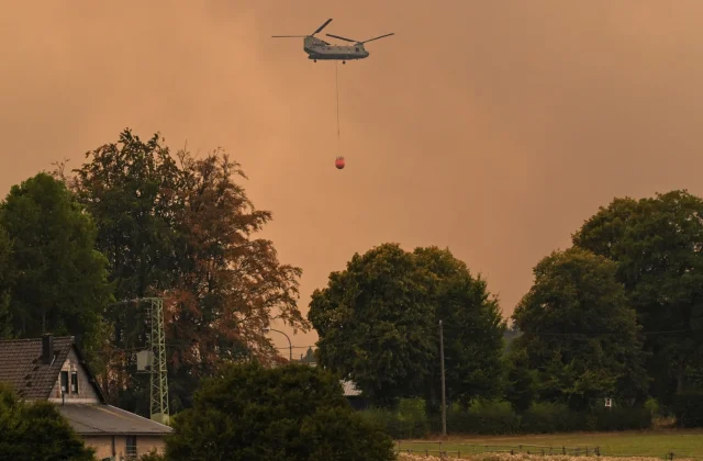 Rainfall Brings New Hope as Belgium Battles Its Largest Wildfire