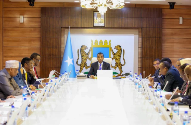 Somali Cabinet Approves Rules-of-Origin Law to Boost Exports and Regional Trade