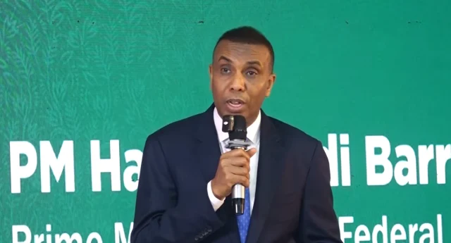 Somali PM Urges UN Agencies and Donors to Rethink Approach to Somalia