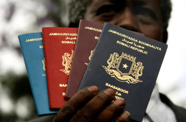 Somali Prime Minister Orders Ministers to Use Somali Passports for Official Travel