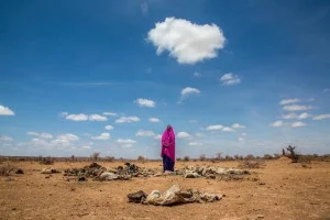Somalia Seeks to Avert a Humanitarian Disaster, Hiiraan Online Reports