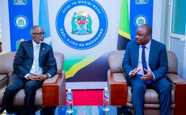 Somalia Seeks to Learn From Tanzania’s E-Governance Model