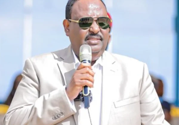 Somalia’s Deni Says Piracy Resurgence Is Campaign to Damage Puntland State’s Image