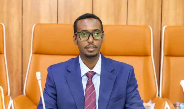 Somalia’s Deputy Commerce Minister Resigns Without Citing a Specific Reason