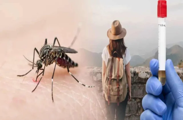 U.S. Issues Dengue Travel Alert for Kenya as Cases Rise