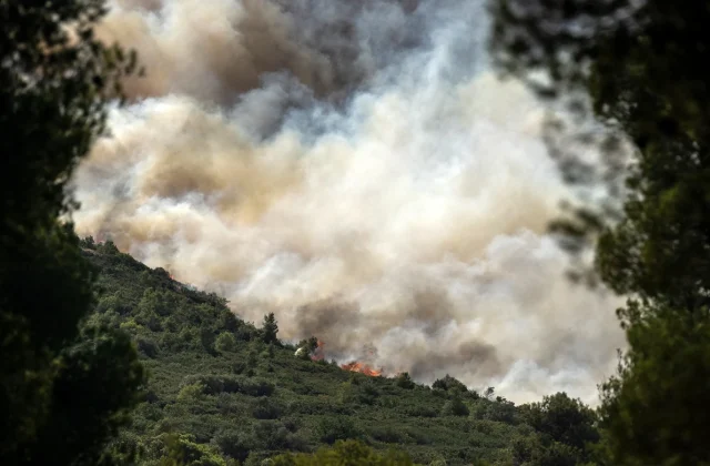 Wildfires Rage in Greece as Firefighters Battle Blazes in France and Spain