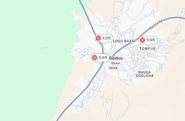Baidoa fighting kills three, wounds 69, MSF says