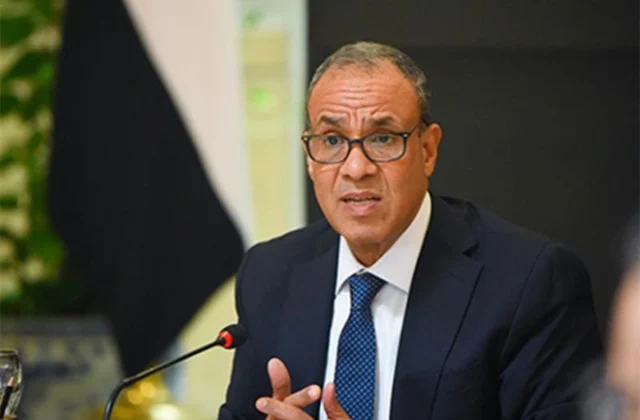 Cairo Pursues Swift Release of Egyptian Sailors Detained Off Somalia