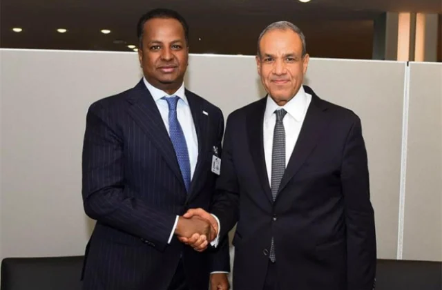 Egypt, Somalia Foreign Ministers Discuss Strategic Partnership, Release of Detained Egyptian Sailors