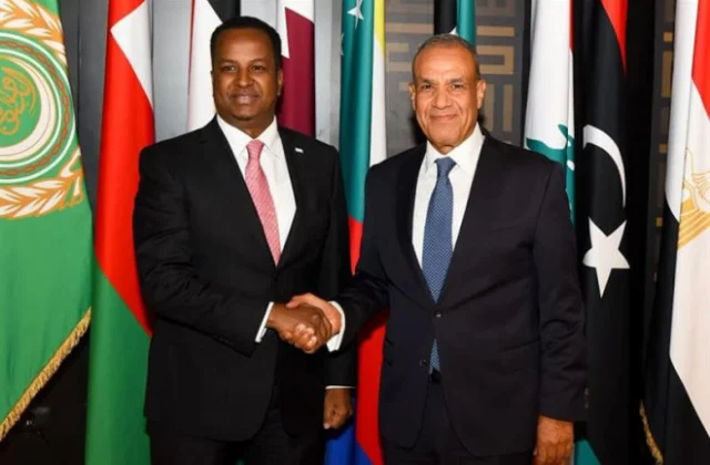 Egypt urges Somalia to accelerate release of 8 Egyptian sailors held off Somali coast